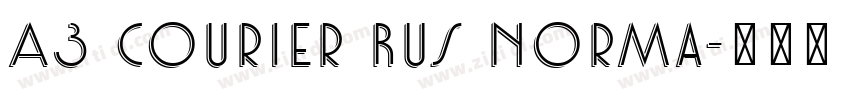A3 Courier Rus Norma字体转换